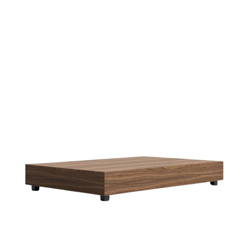 Angled Side View of The Liza Coffee Table With Walnut Veneer Finish